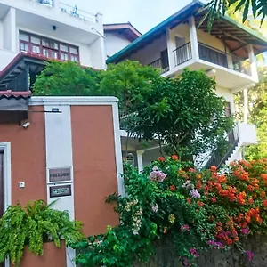 Freedom Lodge, Homestay